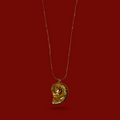 Mermaid's Nautilus
